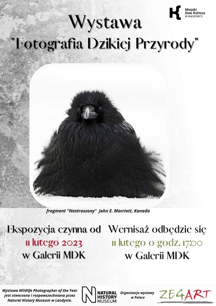 Wystawa "Fotografia Dzikiej Przyrody" - ekspozycja czynna do 23 kwietnia!